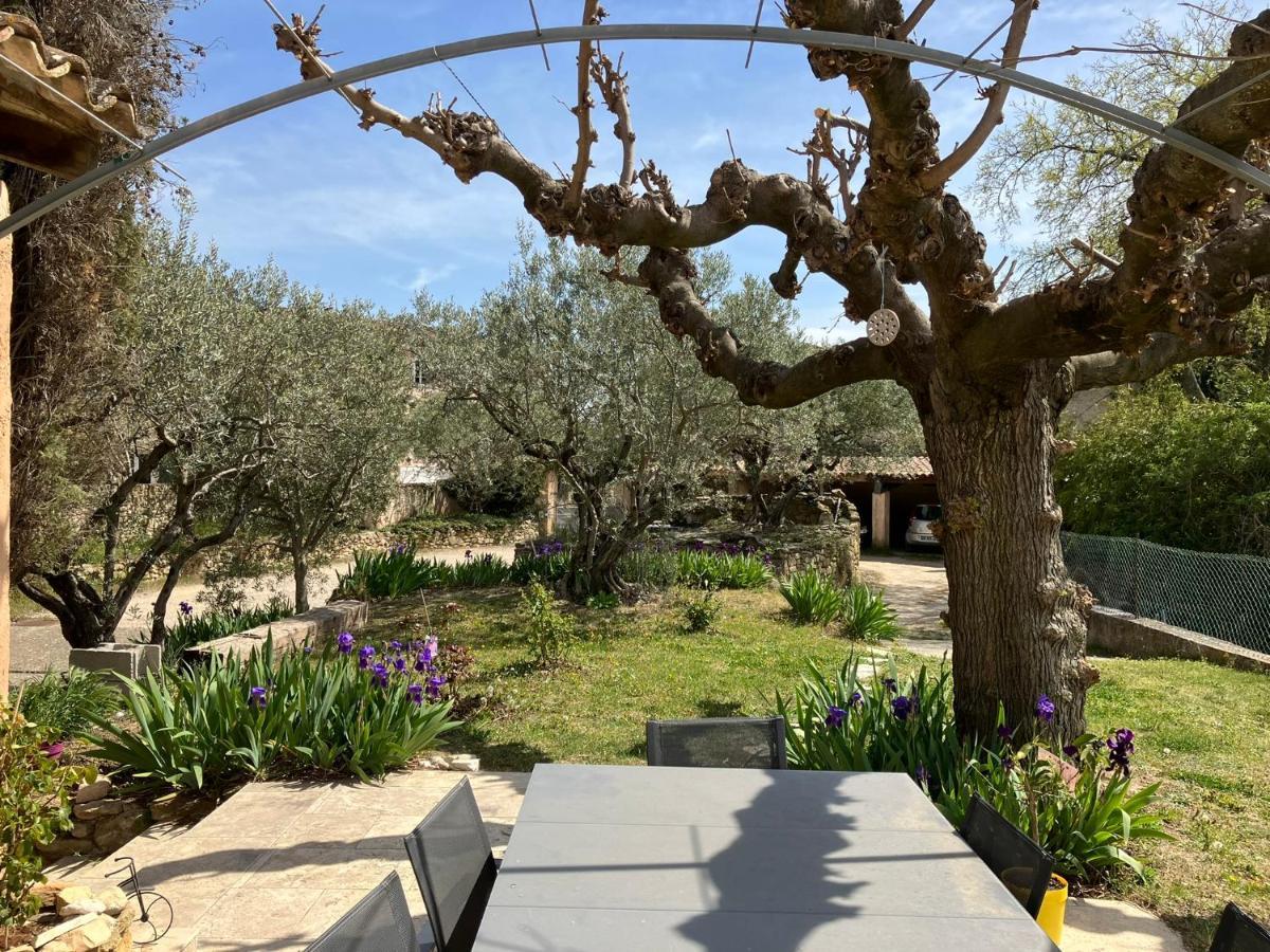 Chambre Avec Petit-Dejeuner En Provence Luberon La Tour-d'Aigues Luaran gambar